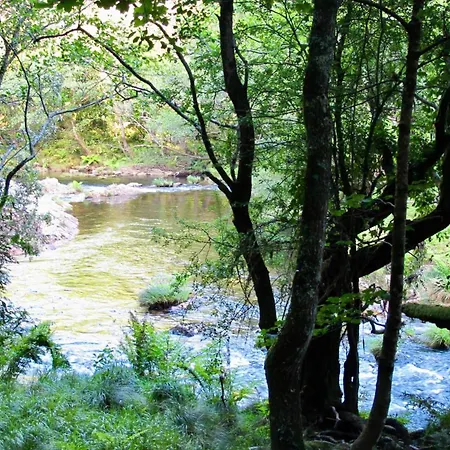 Beautiful * O Vicedo